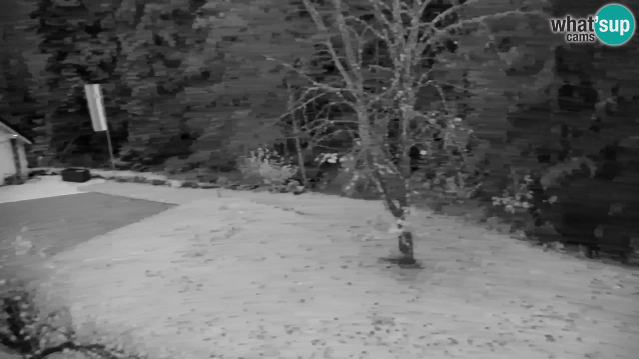 Webcam Lukanja – Water Village | Pohorje Houses