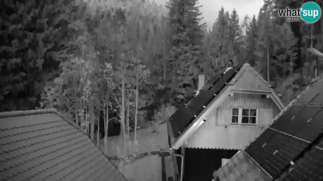 Webcam Lukanja – Water Village | Pohorje Houses
