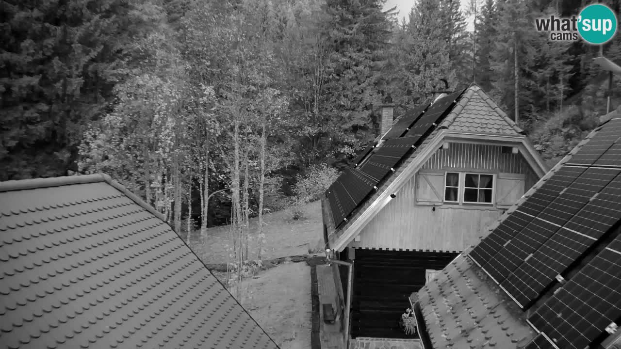 Webcam Lukanja – Pohorje houses a Water village