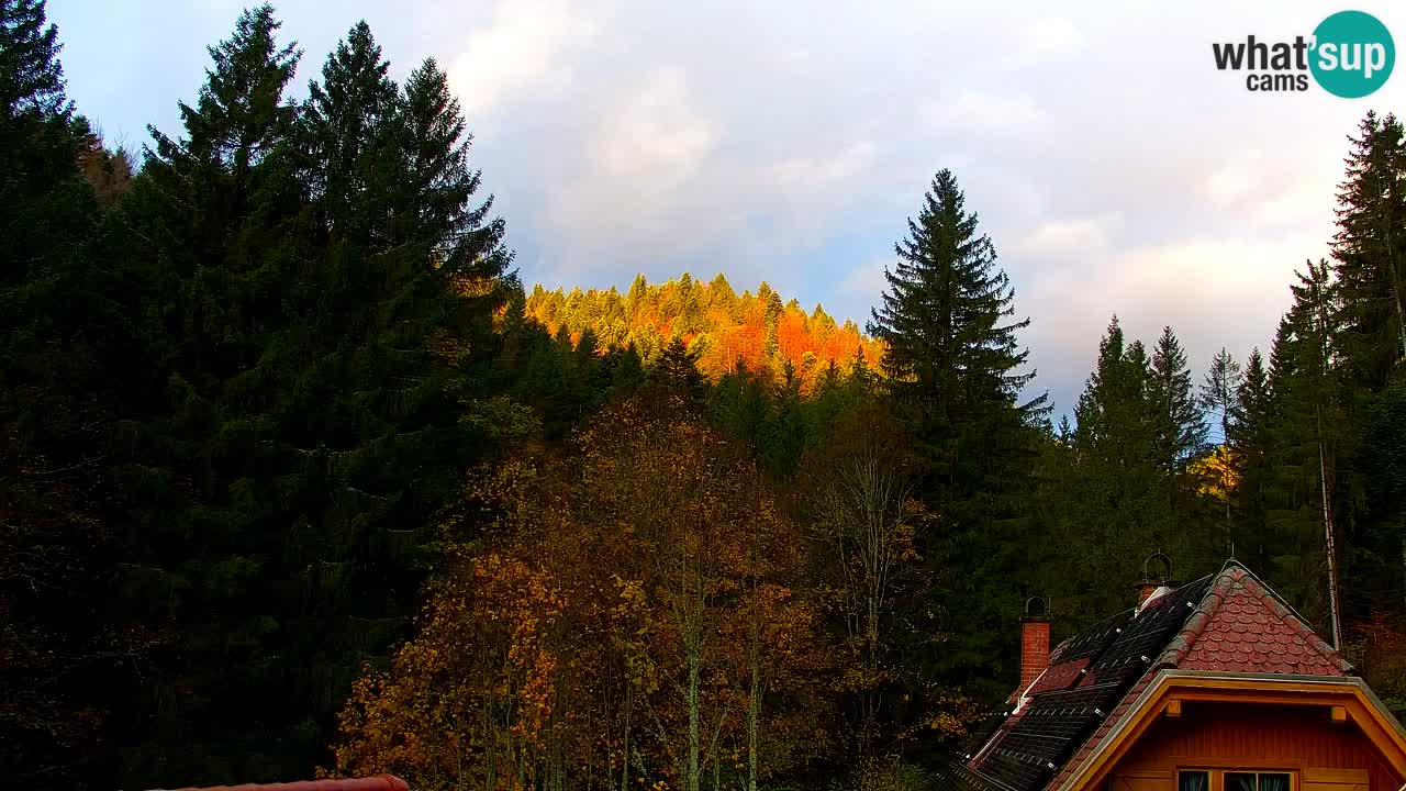 Spletna kamera Lukanja – Water Village | Pohorje Houses