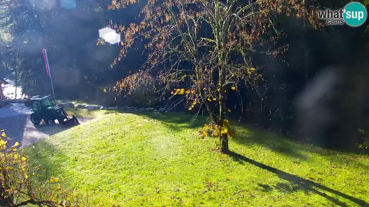 Webcam Lukanja – Pohorje houses a Water village