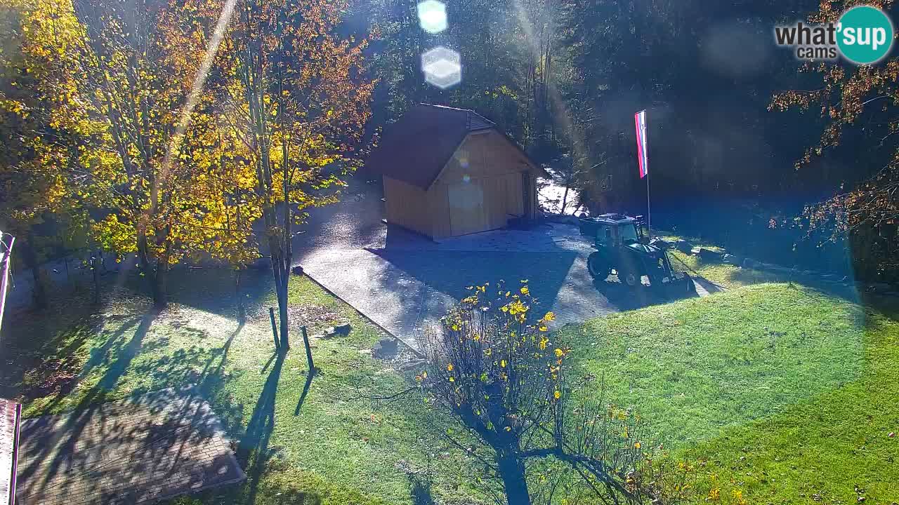 Webcam Lukanja – Pohorje houses a Water village