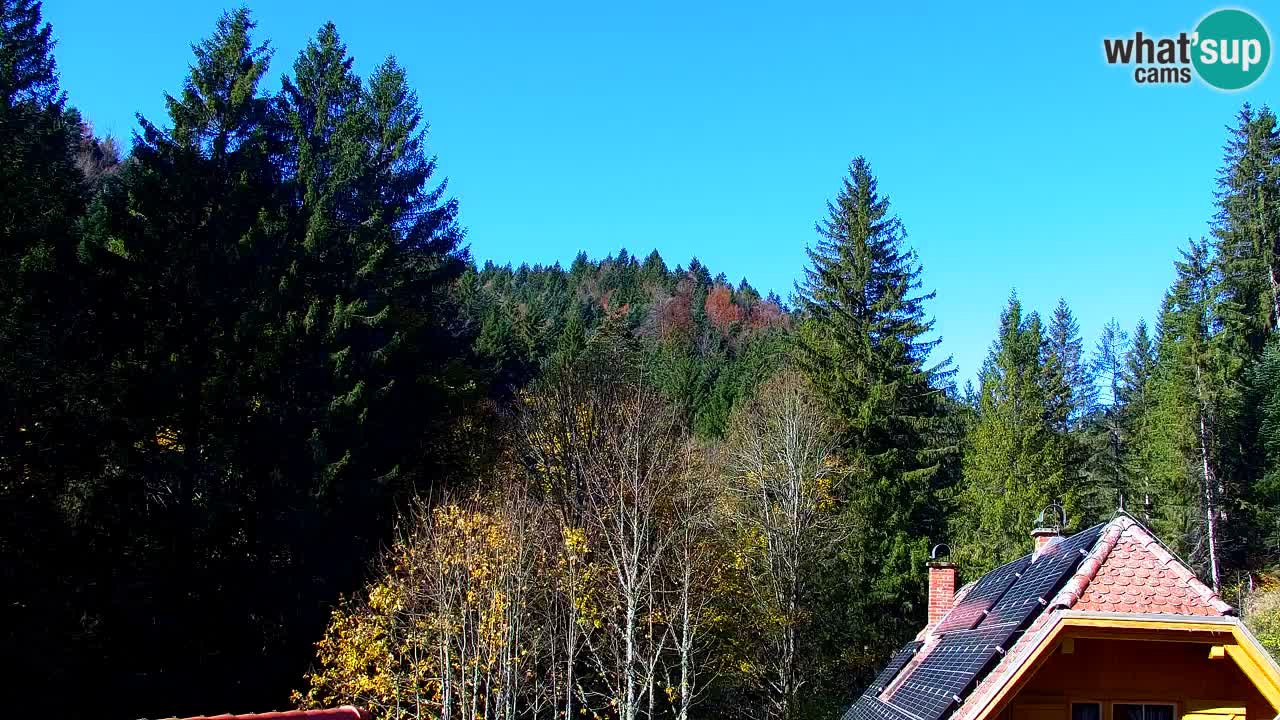 Spletna kamera Lukanja – Water Village | Pohorje Houses
