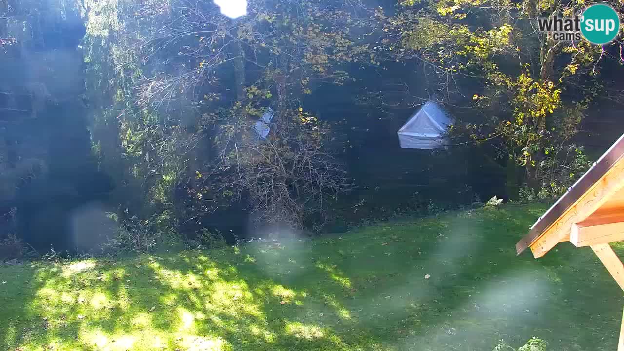 Webcam Lukanja – Pohorje houses a Water village