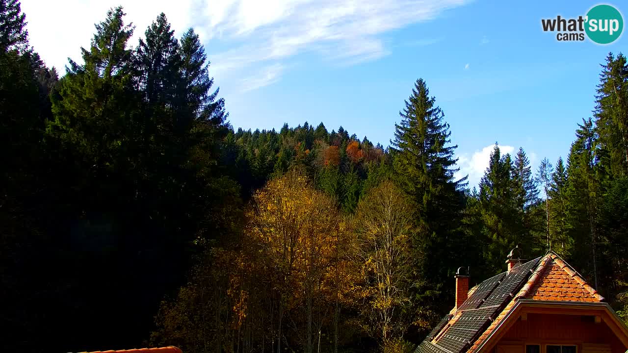 Spletna kamera Lukanja – Water Village | Pohorje Houses