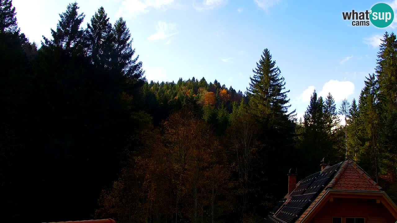Webcam Lukanja – Water Village | Pohorje Houses