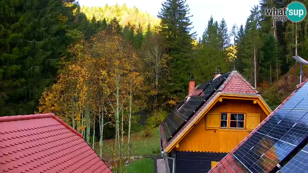 Web kamera Lukanja – Water Village | Pohorje Houses