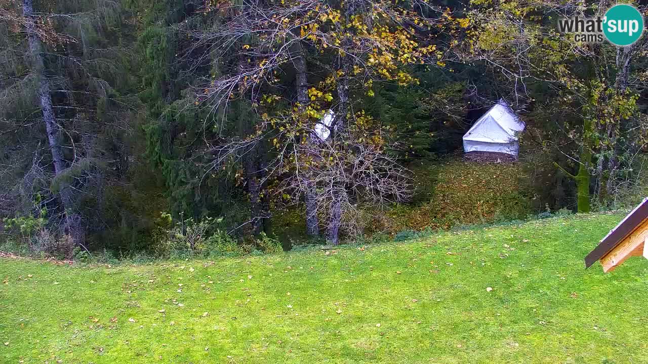 Spletna kamera Lukanja – Water Village | Pohorje Houses
