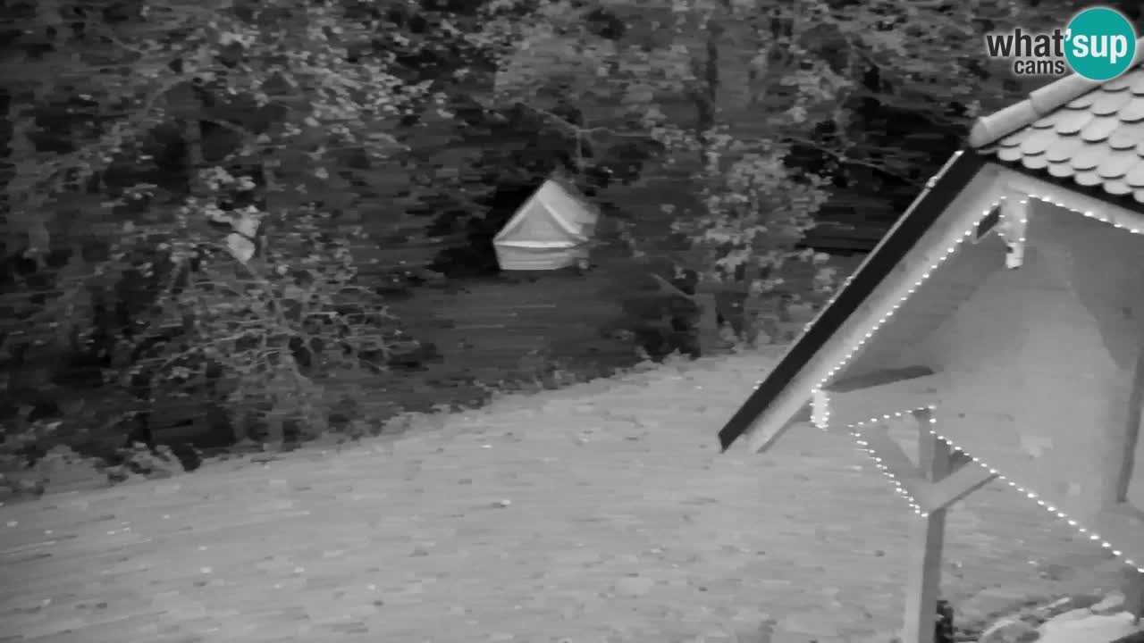 Webcam Lukanja – Water Village | Pohorje Houses