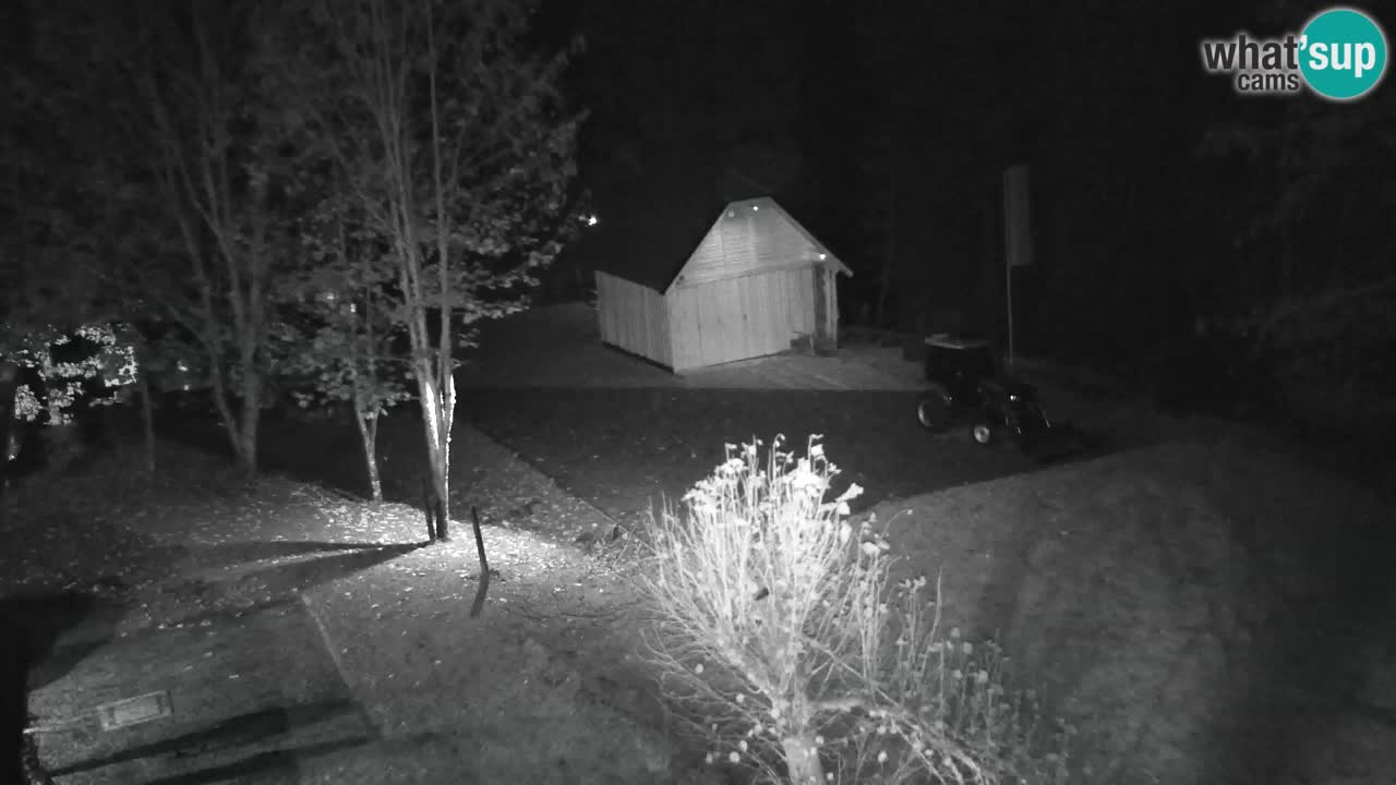 Webcam Lukanja – Pohorje houses a Water village