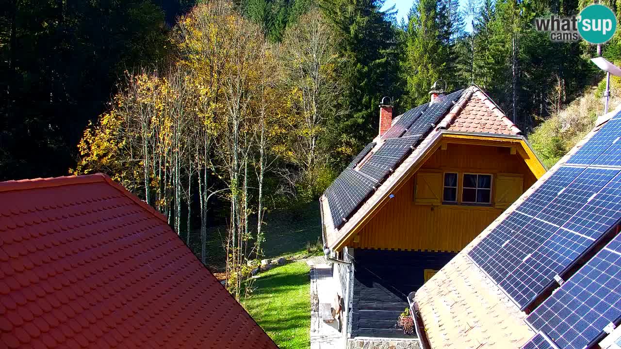 Spletna kamera Lukanja – Water Village | Pohorje Houses