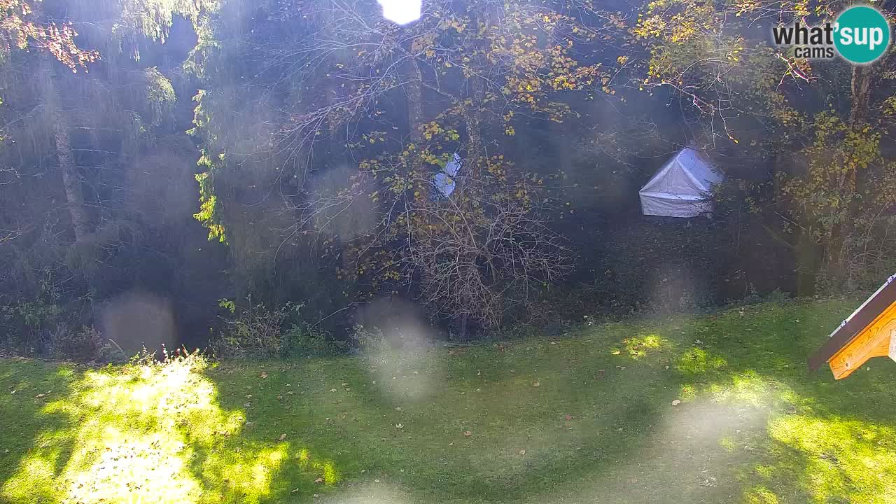Webcam Lukanja – Water Village | Pohorje Houses