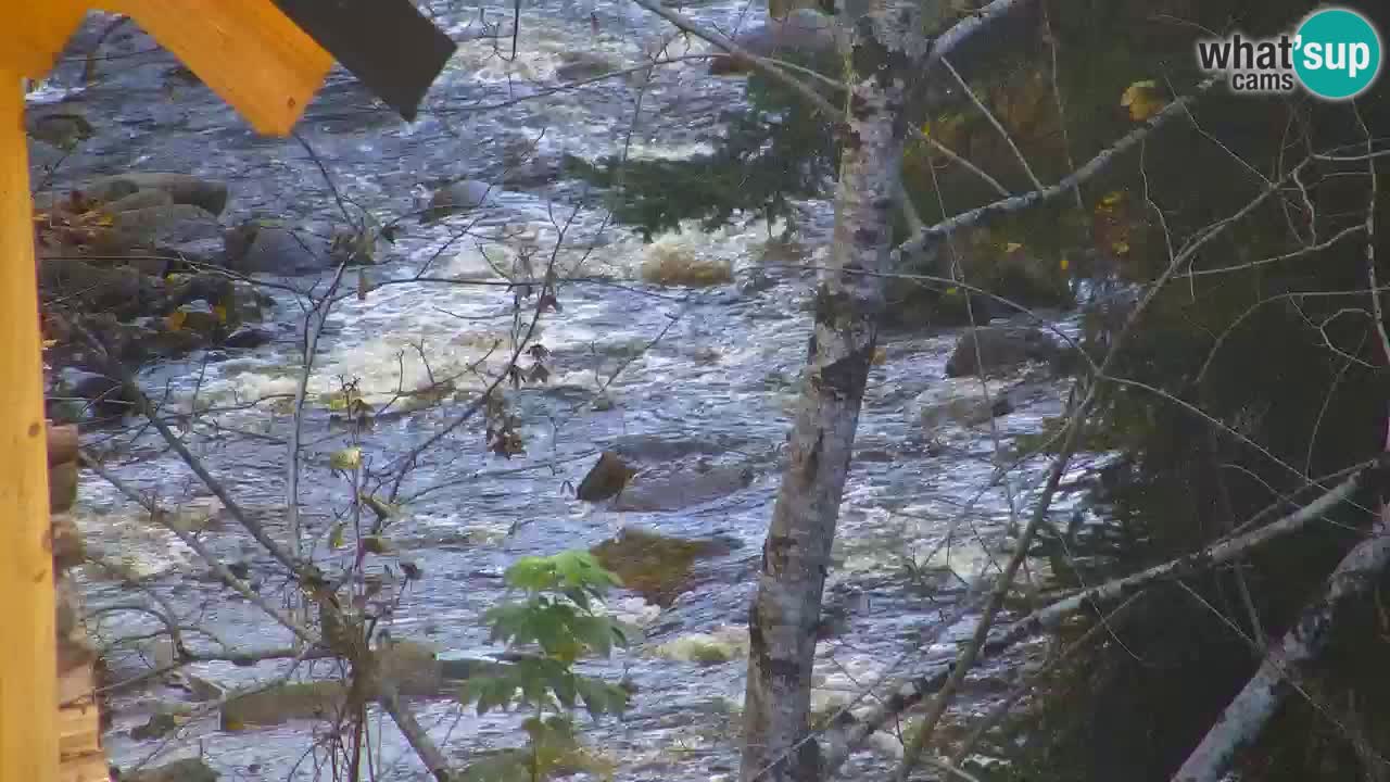 Webcam Lukanja – Water Village | Pohorje Houses