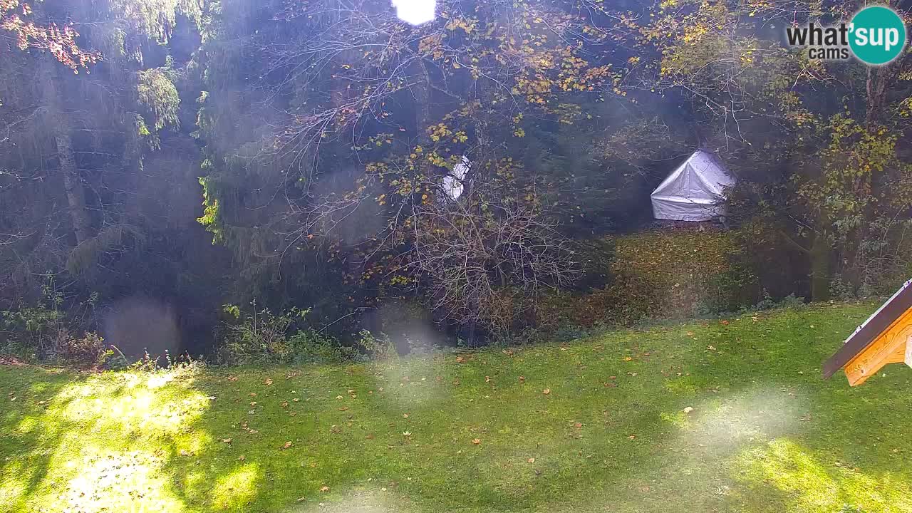 Webcam Lukanja – Pohorje houses a Water village