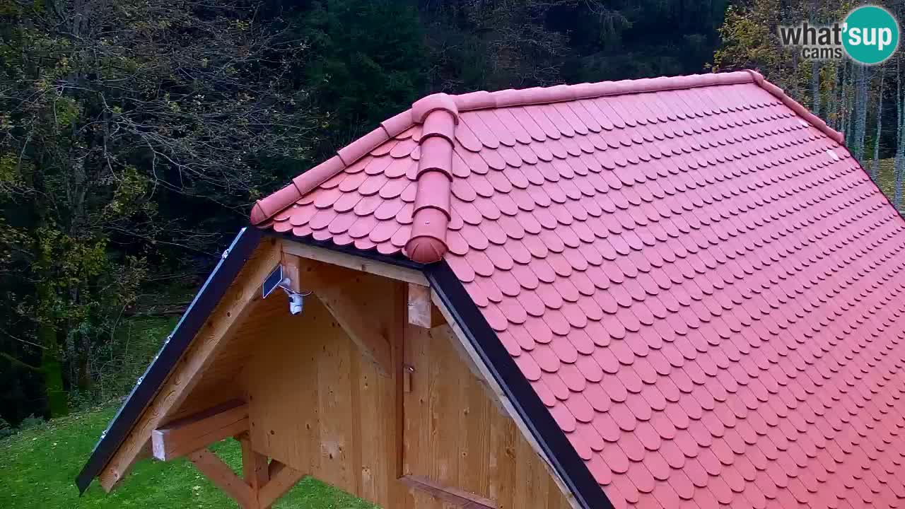 Webcam Lukanja – Water Village | Pohorje Houses