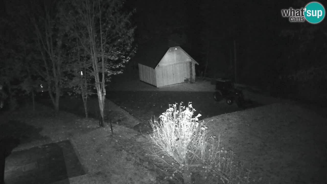 Webcam Lukanja – Water Village | Pohorje Houses