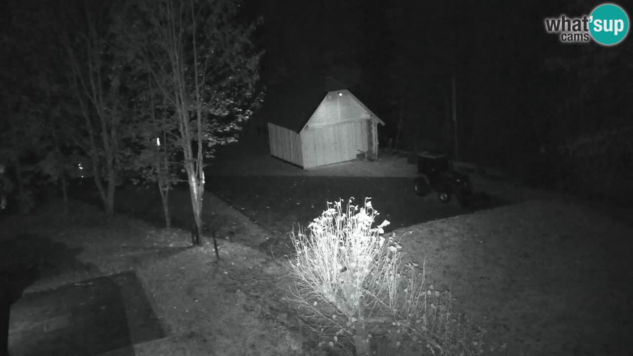 Webcam Lukanja – Pohorje houses a Water village