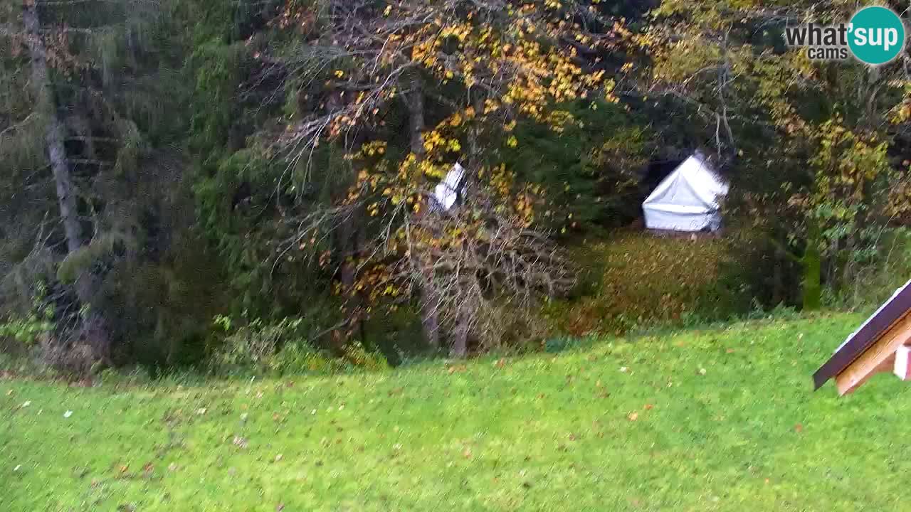 Webcam Lukanja – Water Village | Pohorje Houses