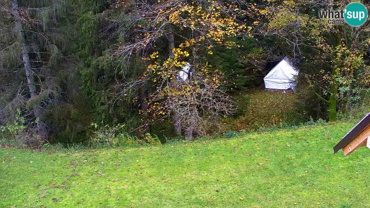 Webcam Lukanja – Water Village | Pohorje Houses