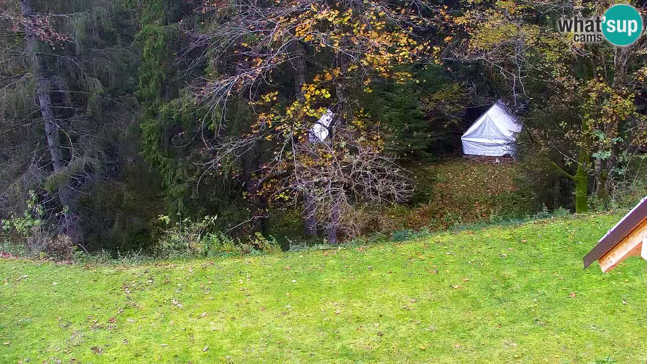 Webcam Lukanja – Water Village | Pohorje Houses