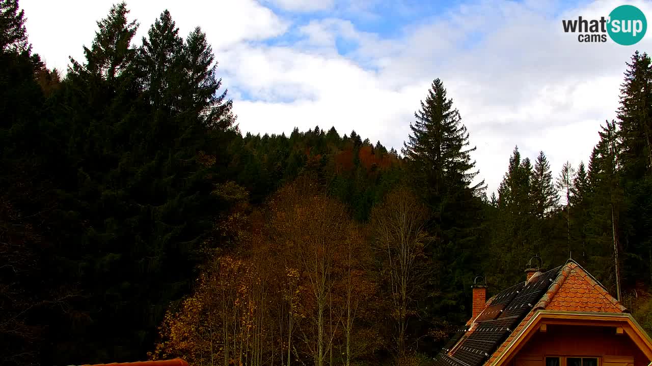 Webcam Lukanja – Water Village | Pohorje Houses