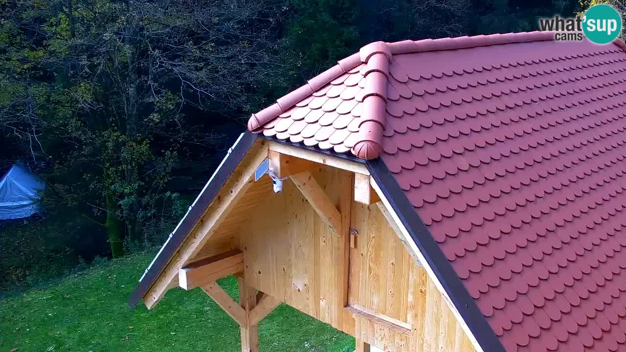 Spletna kamera Lukanja – Water Village | Pohorje Houses