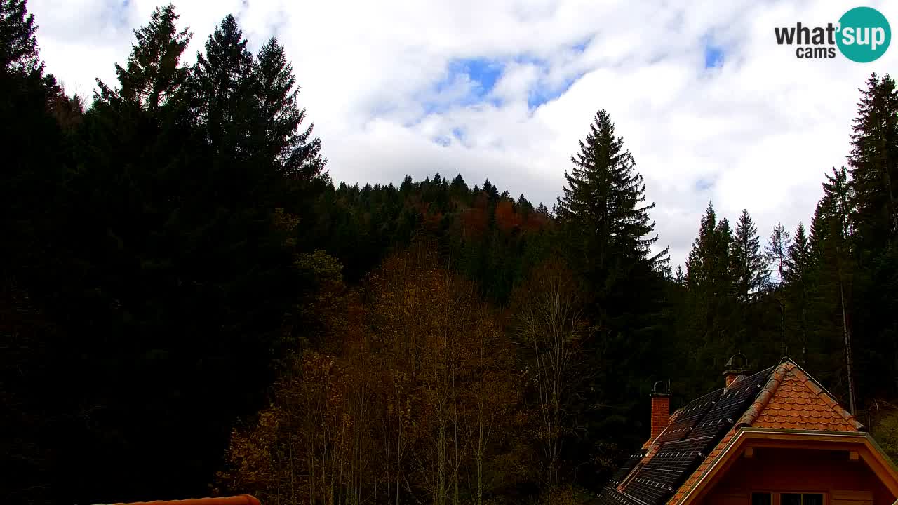 Spletna kamera Lukanja – Water Village | Pohorje Houses