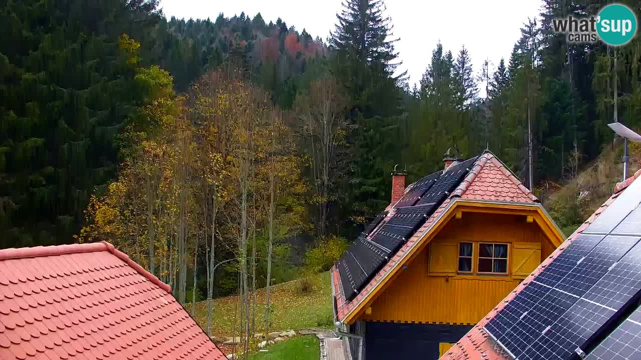 Spletna kamera Lukanja – Water Village | Pohorje Houses