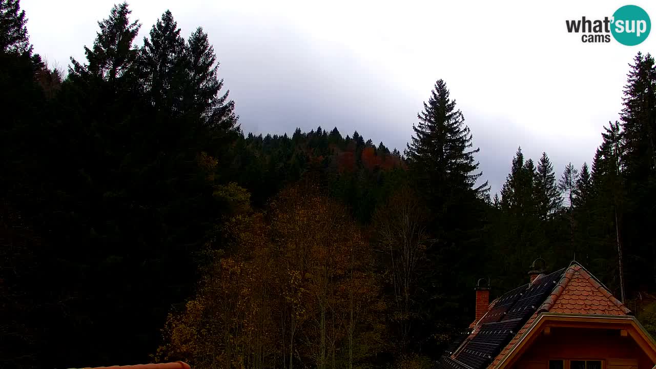 Webcam Lukanja – Water Village | Pohorje Houses