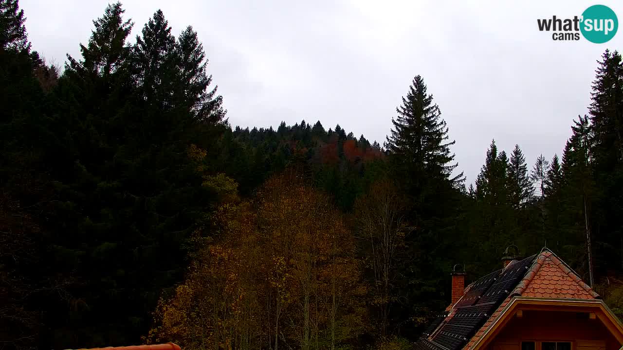 Webcam Lukanja – Water Village | Pohorje Houses