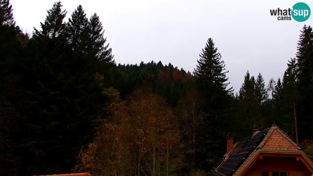 Webcam Lukanja – Water Village | Pohorje Houses