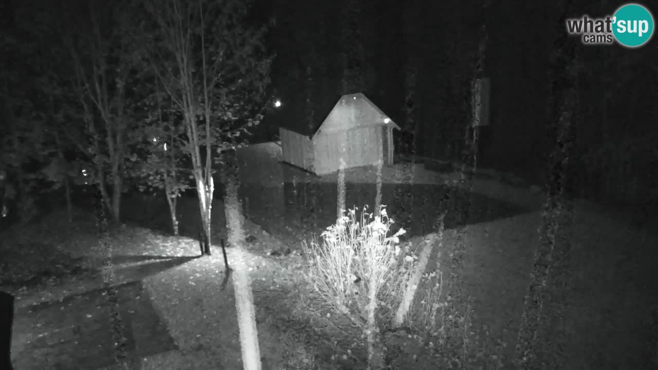 Webcam Lukanja – Water Village | Pohorje Houses