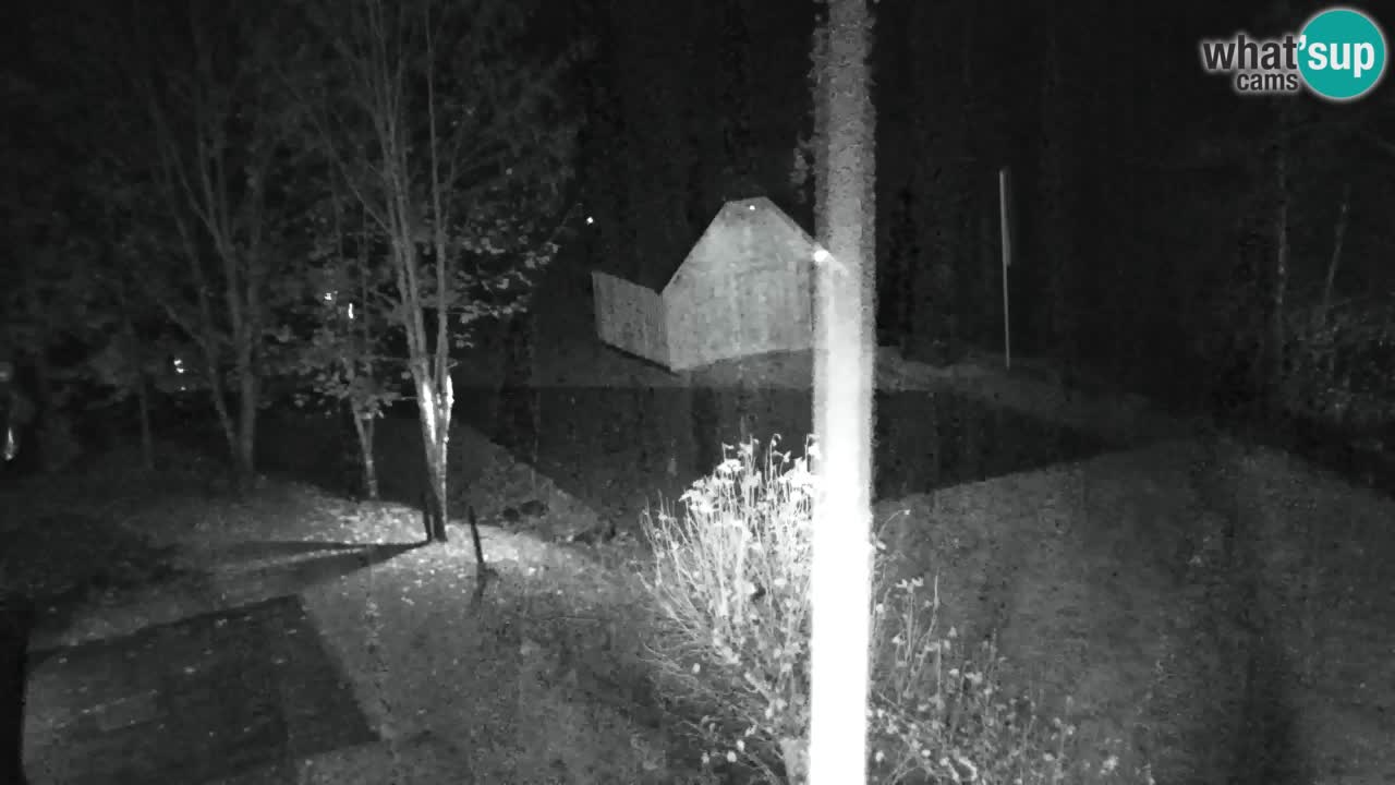 Webcam Lukanja – Water Village | Pohorje Houses
