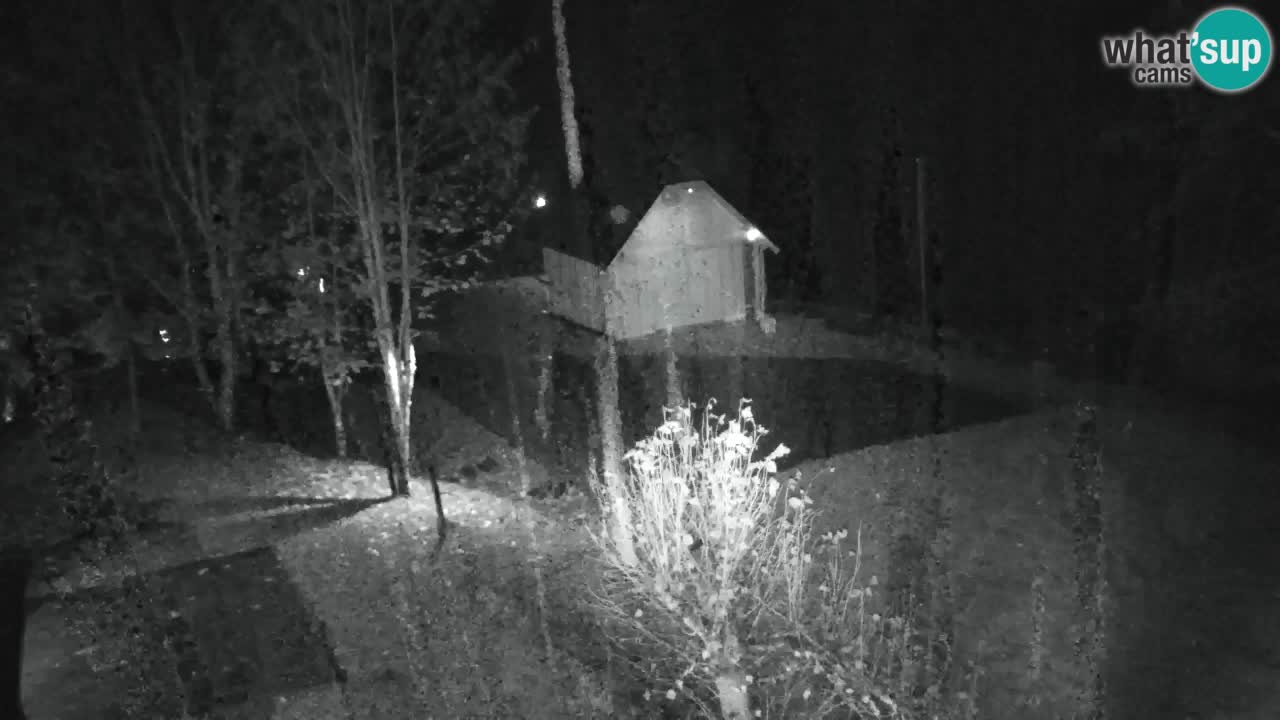 Webcam Lukanja – Water Village | Pohorje Houses
