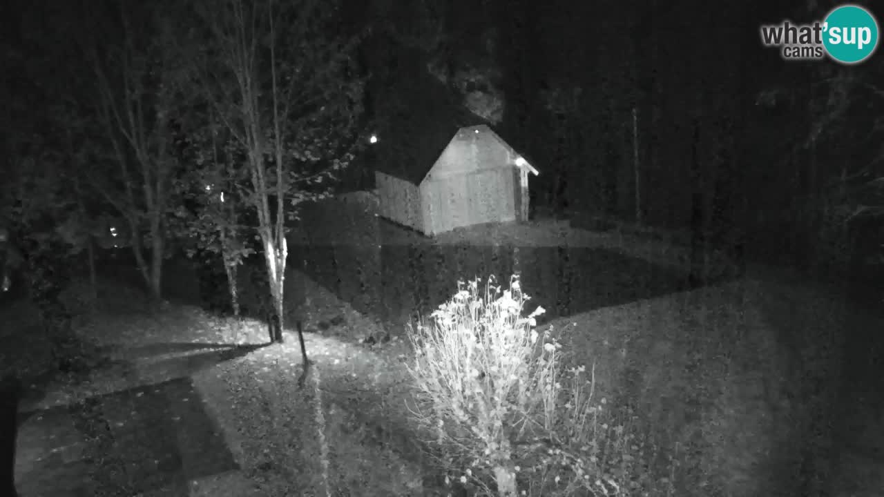 Webcam Lukanja – Pohorje houses a Water village