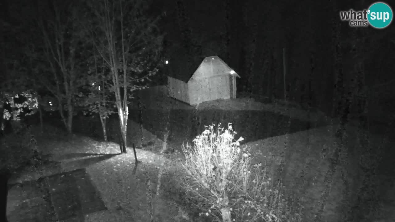 Webcam Lukanja – Pohorje houses a Water village