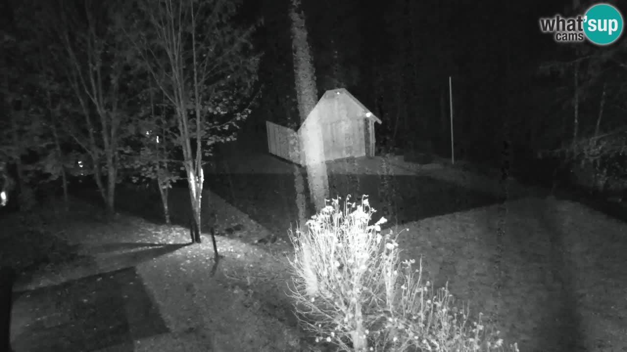 Webcam Lukanja – Water Village | Pohorje Houses