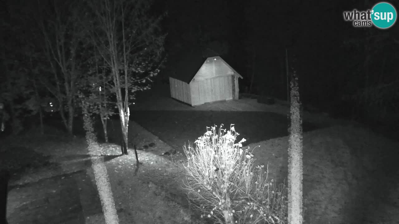 Webcam Lukanja – Water Village | Pohorje Houses