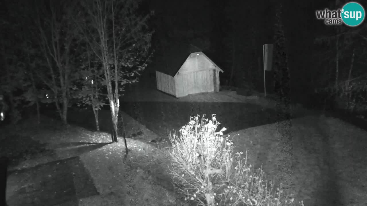 Webcam Lukanja – Water Village | Pohorje Houses