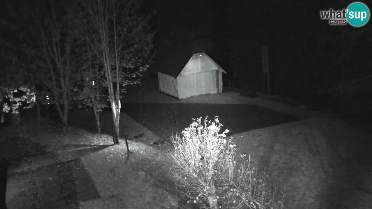 Webcam Lukanja – Water Village | Pohorje Houses