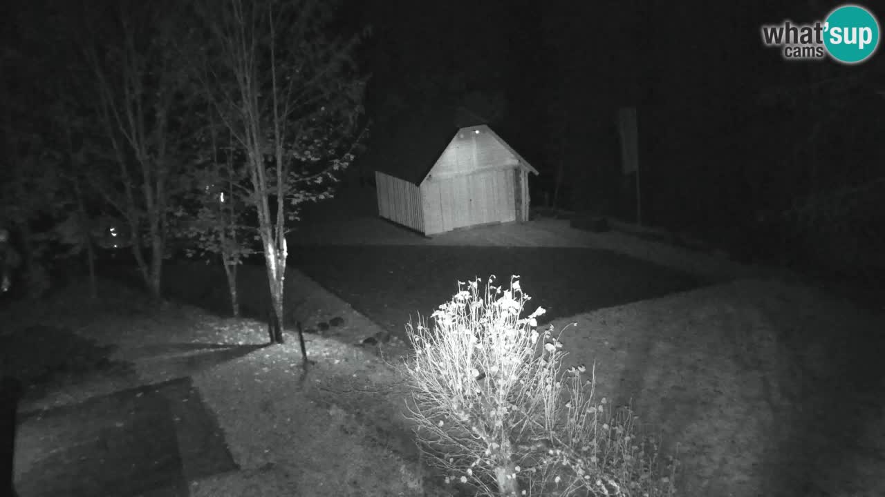Webcam Lukanja – Pohorje houses a Water village