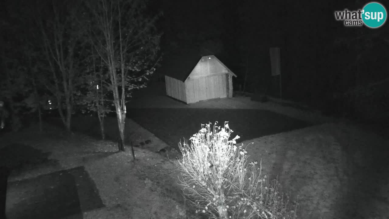 Webcam Lukanja – Pohorje houses a Water village