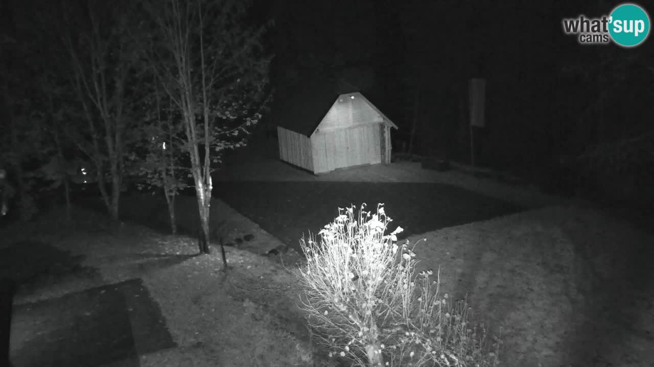 Webcam Lukanja – Water Village | Pohorje Houses