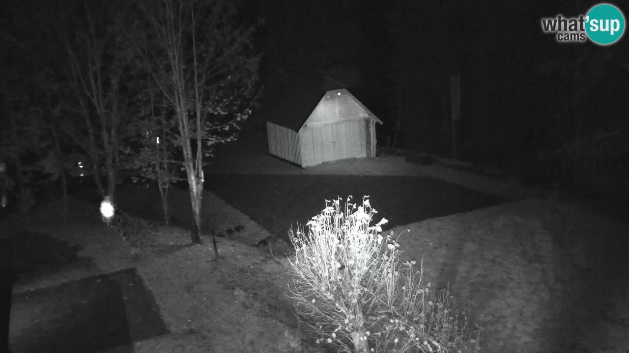Webcam Lukanja – Water Village | Pohorje Houses