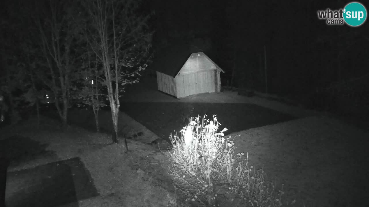 Webcam Lukanja – Water Village | Pohorje Houses