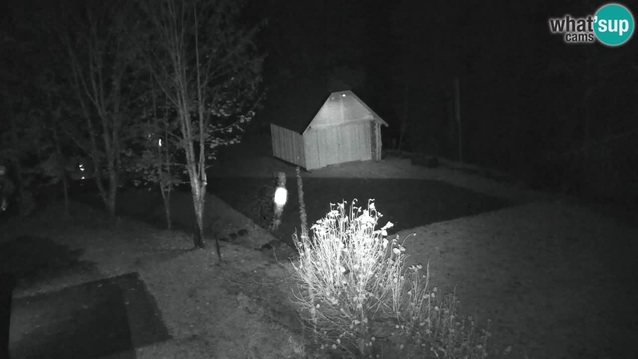 Webcam Lukanja – Water Village | Pohorje Houses