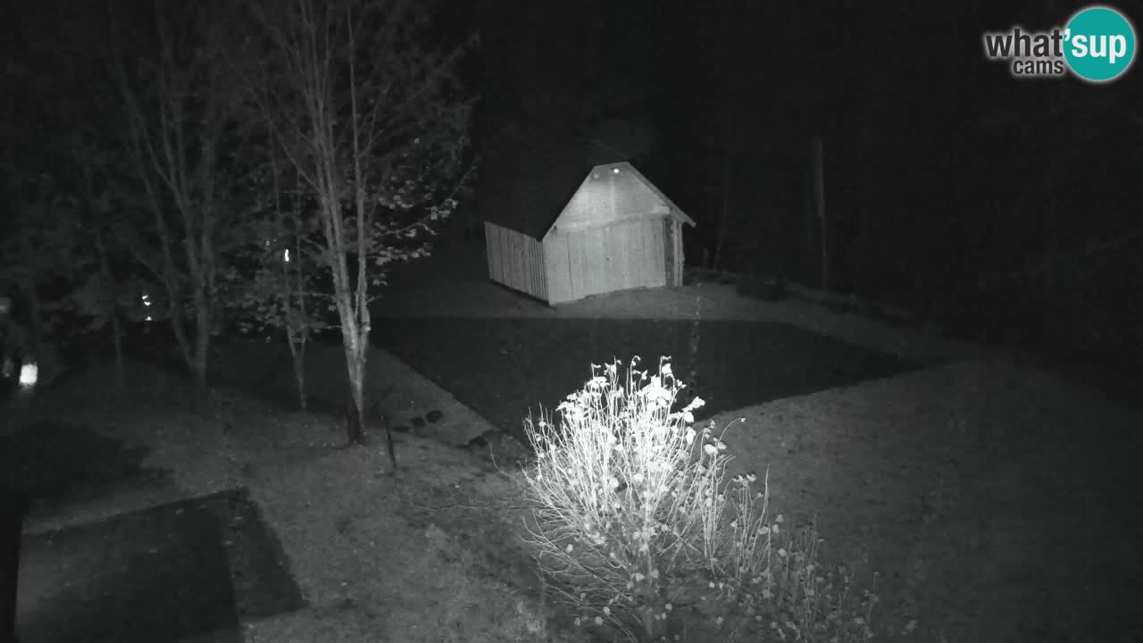 Webcam Lukanja – Water Village | Pohorje Houses