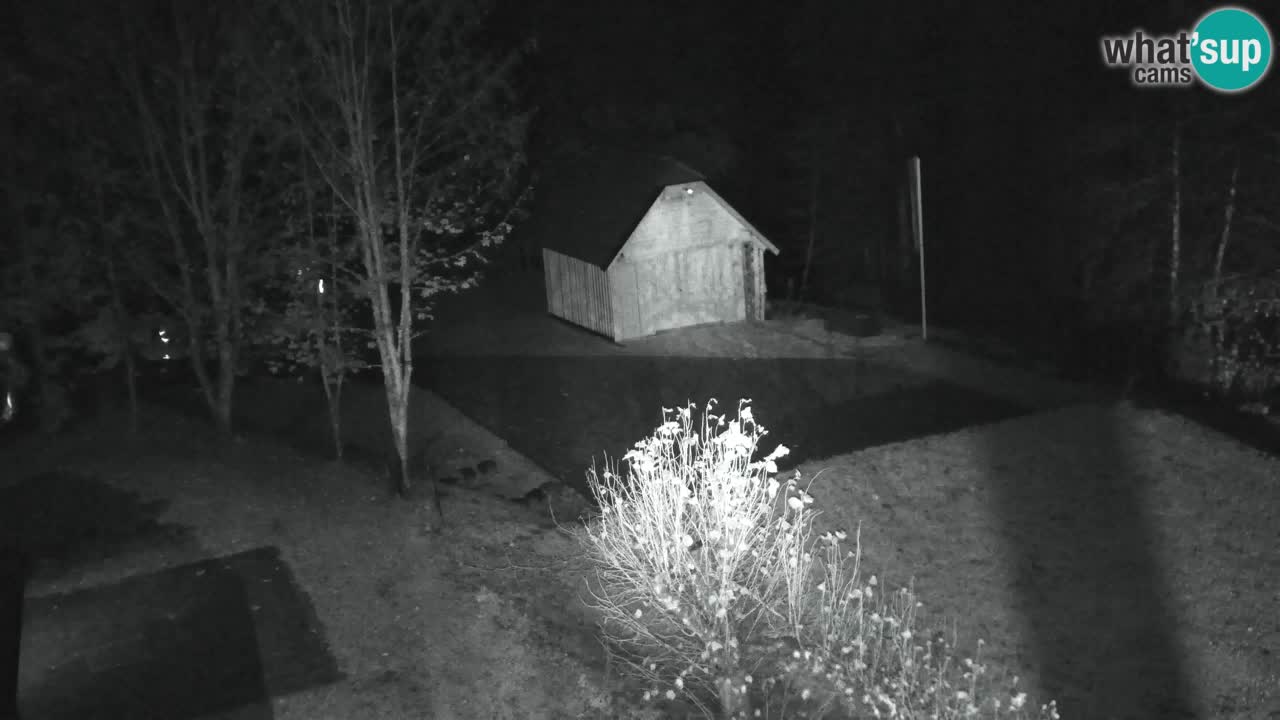 Webcam Lukanja – Water Village | Pohorje Houses