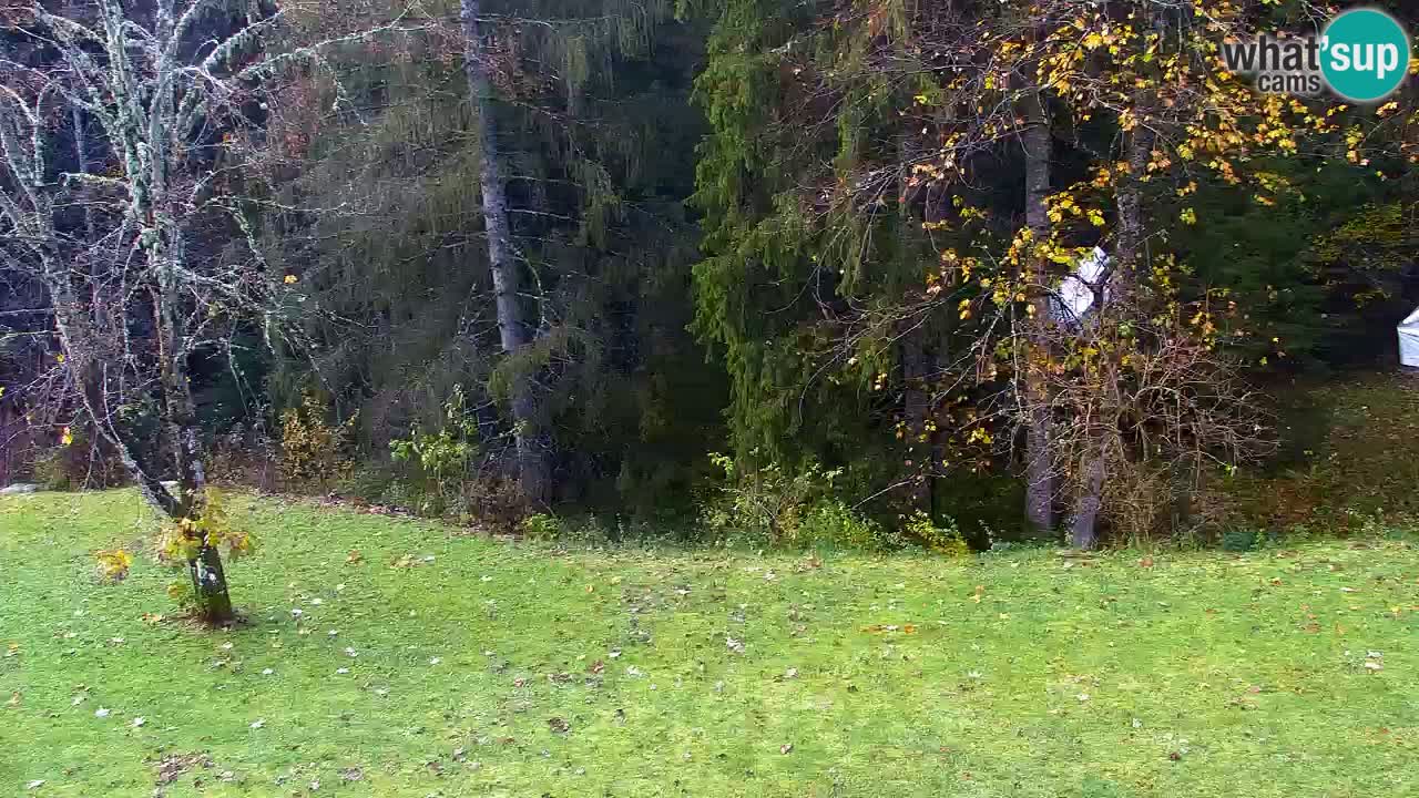 Webcam Lukanja – Water Village | Pohorje Houses
