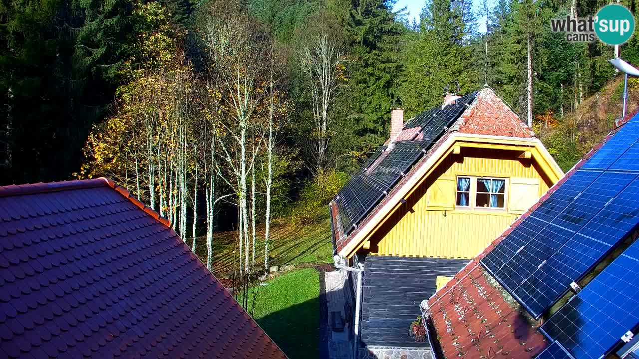 Webcam Lukanja – Pohorje houses a Water village